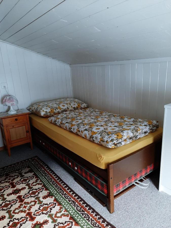 דירות דיסנטיס Casa Schuoler מראה חיצוני תמונה